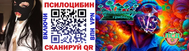 магазин продажи наркотиков  Сафоново  Псилоцибиновые грибы мицелий 